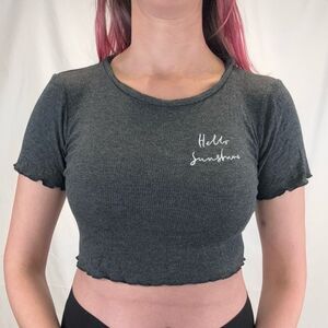 Sunday Stevens Womens Crop Hello Sunshine T Tee Shirt M Med Medium Grey Gray Rib